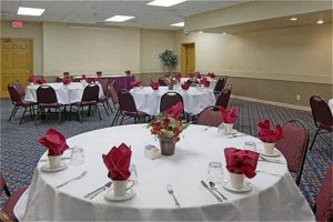 Holiday Inn Cedar Falls-University Plaza,I