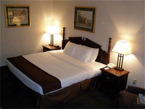 Holiday Inn Nashville-The Crossings, Tn