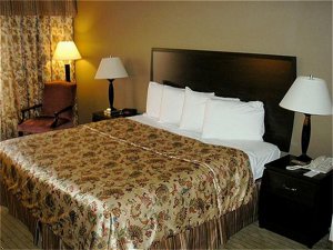 Holiday Inn St. Louis-Airport(Oakland Pk)