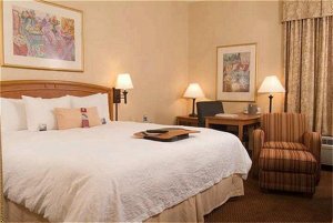 Hampton Inn Atlanta-Cumberland Mall/Nw