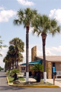 Orlando/Kissimmee Maingate Knights Inn