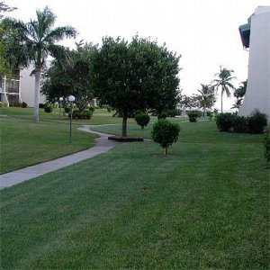 Loggerhead Cay Condominiums