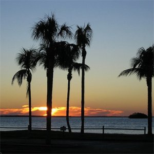 Sanibel Harbour Towers