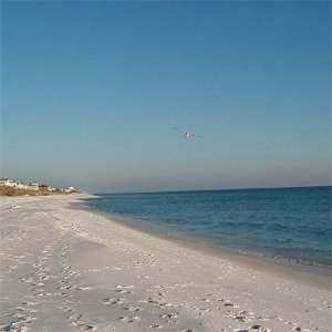 Gulf Place Cabanas By Resortquest