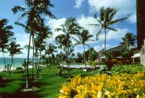 Abaco Beach Resort & Boat Harbour