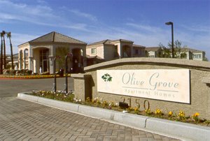 Olive Grove Suites - Chandler