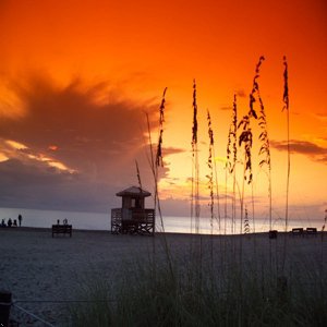 Inn At The Beach