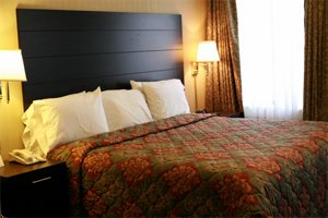 Lexington Hotel O & Suites