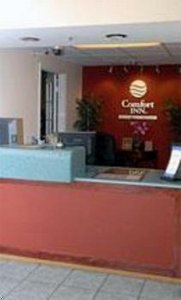 Comfort Inn West