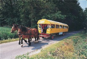 Welcome Hotel Dorf Munsterland