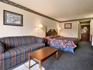 Ramada Limited Inn & Suites Pittsfield