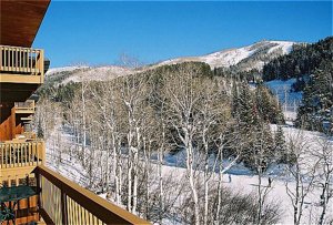 Storm Meadows Townhomes