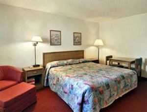 Super 8 Motel - Naples/Marco Island