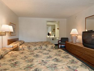 Super 8 Motel - Orlando/North/Sanford