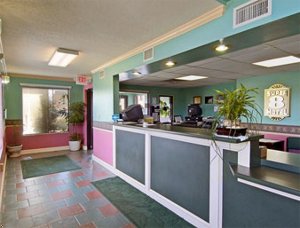 Super 8 Motel - Brunswick/South/Exit 29