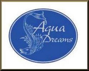 Aqua Dreams Premier Guest House