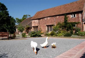 Gurney Manor Mill