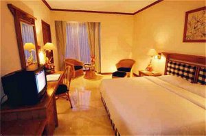 Sanur Paradise Plaza Hotel Suites