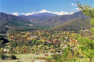 Ovens Valley Motor Inn