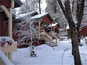 Cozy Hollow Lodge