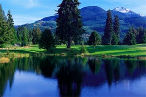 The Westin Resort And Spa, Whistler