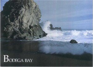 Bodega Bay Lodge