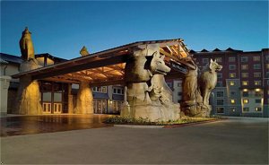 Great Wolf Lodge - Grapevine