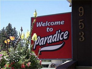 Paradice Motel