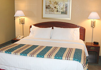 Courtyard By Marriott Opryland